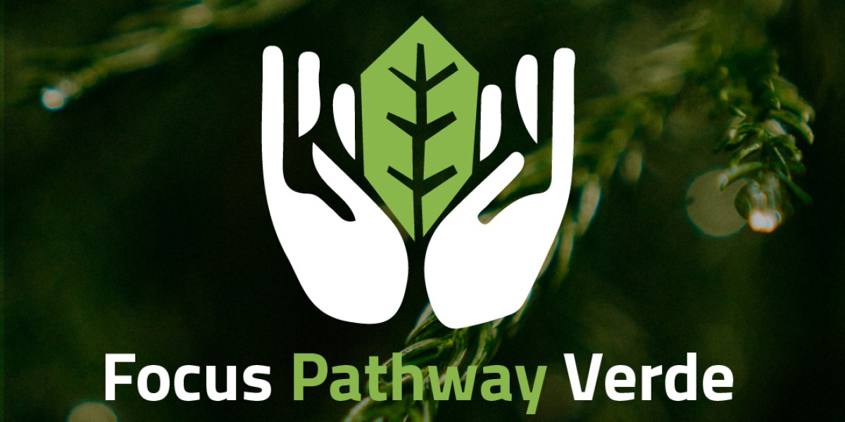 FOCUS PATHWAY VERDE – DARE TO CARE