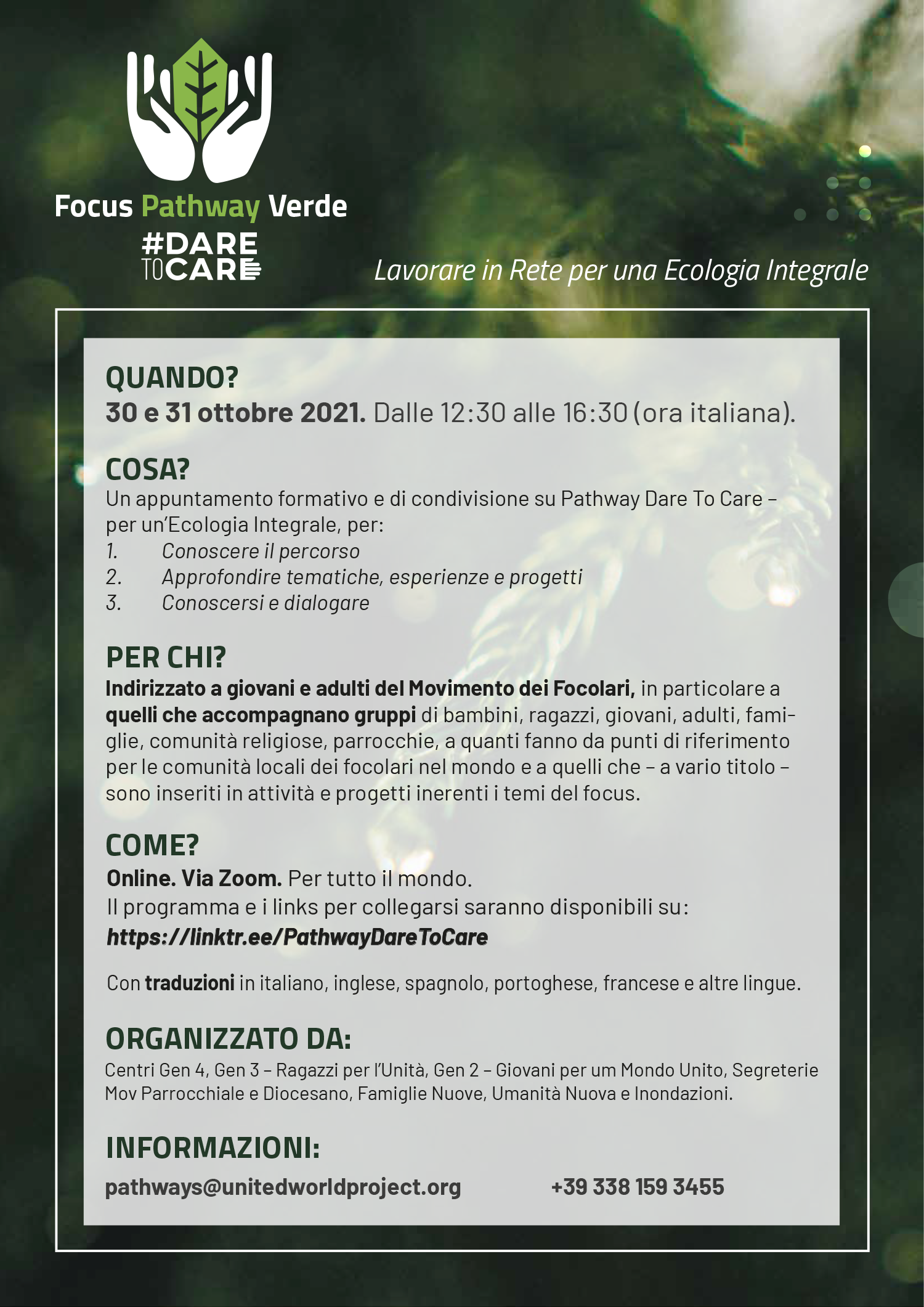 IT Flyer Focus Pathway Verde 1