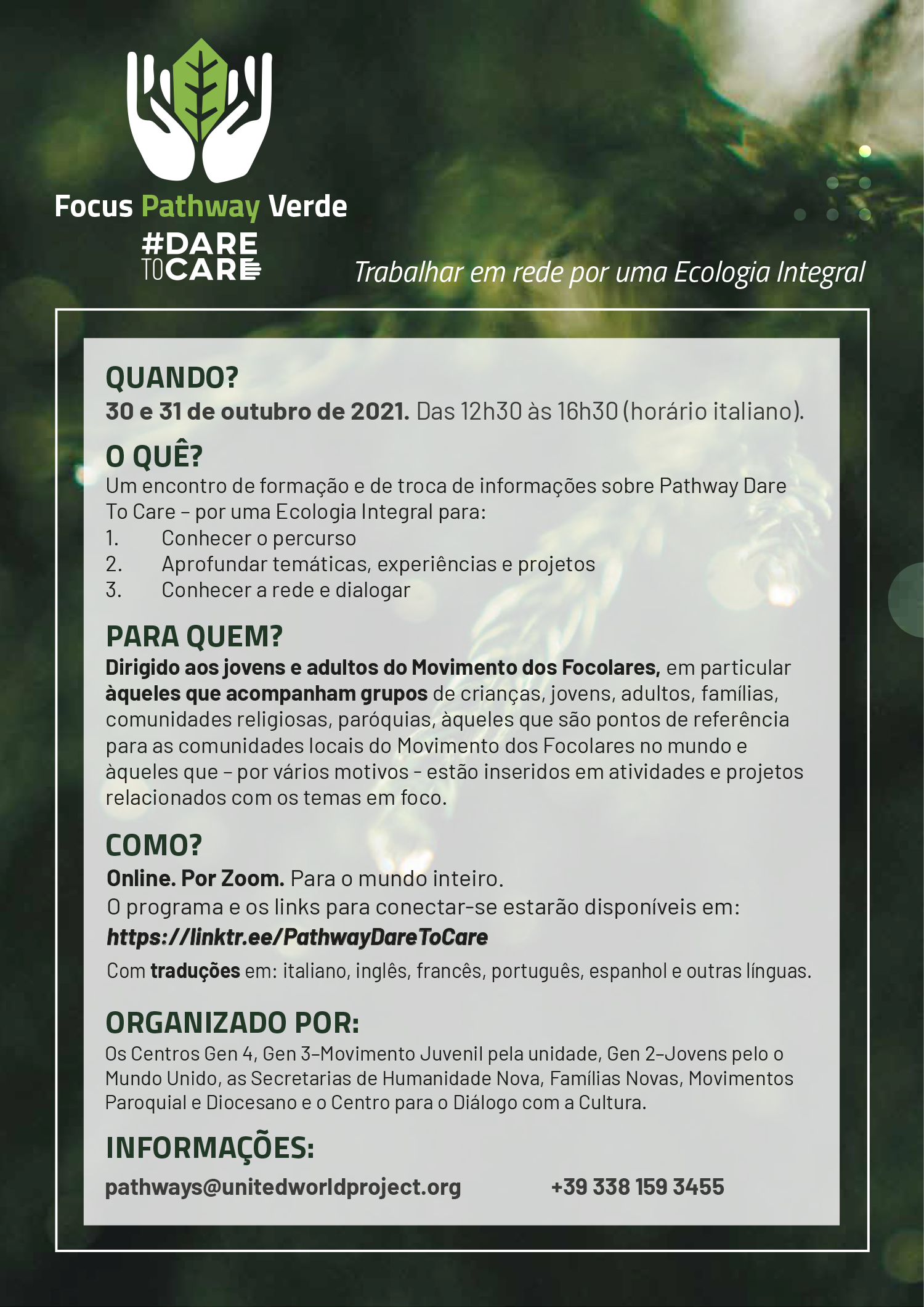PT Flyer Focus Pathway Verde 1